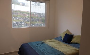 Renta Departamento  Amueblado Privalia Ambienta