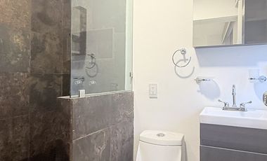 Departamento en Renta en Polanco cerca de Metro Polanco 2 Recámaras