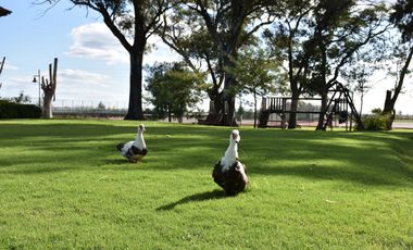 LOTE/TERRENO EN VENTA BARRIO SAN LUCAS