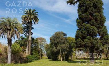 Terreno - Longchamps