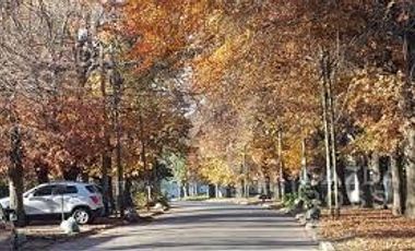 Terreno - Longchamps