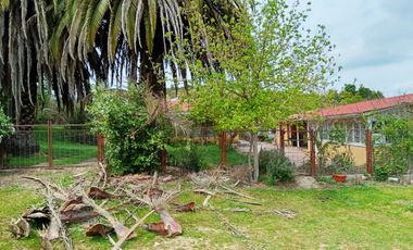 Oportunidad, Gran terreno de 53 Hectareas en San Pedro de Melipilla