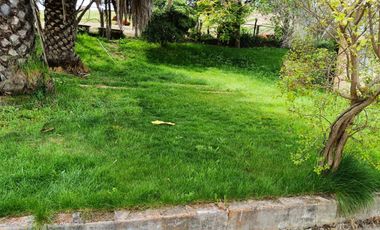 Oportunidad, Gran terreno de 53 Hectareas en San Pedro de Melipilla