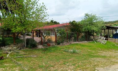 Oportunidad, Gran terreno de 53 Hectareas en San Pedro de Melipilla
