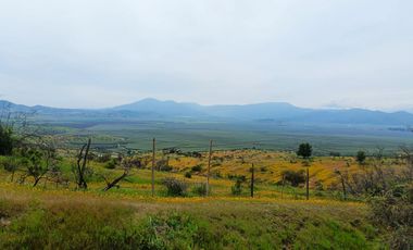 Oportunidad, Gran terreno de 53 Hectareas en San Pedro de Melipilla