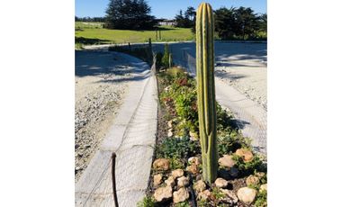 Exclusivo condominio Olas de Punta de Lobos Pichilemu