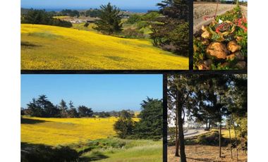 Exclusivo condominio Olas de Punta de Lobos Pichilemu