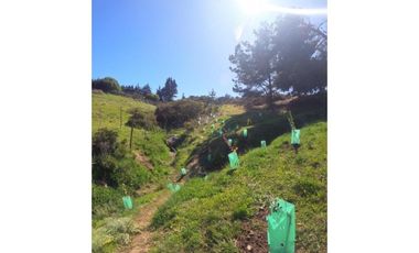 Exclusivo condominio Olas de Punta de Lobos Pichilemu