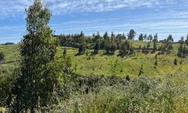 El Cardal , Matanzas