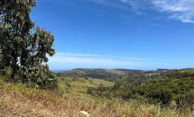 El Cardal , Matanzas