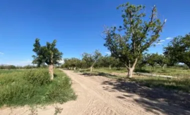 Finca-Rancho en Venta en Las Nogaleras, Matamoros, Coahuila de Zaragoza