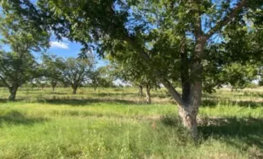 Finca-Rancho en Venta en Las Nogaleras, Matamoros, Coahuila de Zaragoza