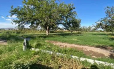 Finca-Rancho en Venta en Las Nogaleras, Matamoros, Coahuila de Zaragoza