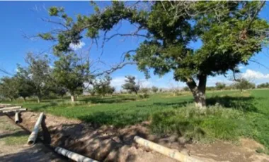 Finca-Rancho en Venta en Las Nogaleras, Matamoros, Coahuila de Zaragoza