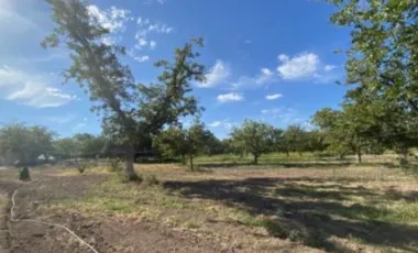 Finca-Rancho en Venta en Las Nogaleras, Matamoros, Coahuila de Zaragoza