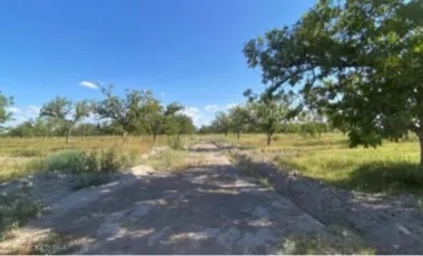 Finca-Rancho en Venta en Las Nogaleras, Matamoros, Coahuila de Zaragoza