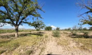 Finca-Rancho en Venta en Las Nogaleras, Matamoros, Coahuila de Zaragoza