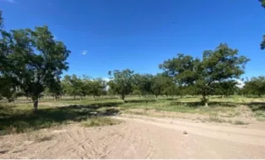 Finca-Rancho en Venta en Las Nogaleras, Matamoros, Coahuila de Zaragoza