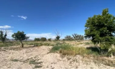 Finca-Rancho en Venta en Las Nogaleras, Matamoros, Coahuila de Zaragoza