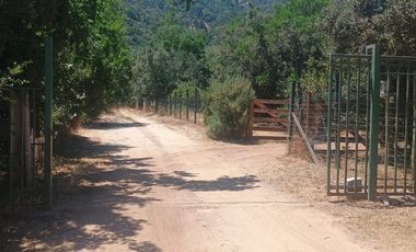 PARCELA PLANA 5000 M EN CULIPRAN-  NATURALEZA Y CONECTIVIDAD