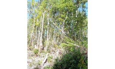 Venta de Parcela Colonia 3 Puentes. Puerto Varas