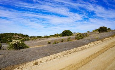 5000 m2 en condominio ALMAR