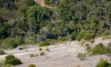 5000 m2 en condominio ALMAR