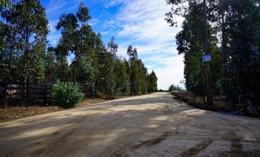 5000 m2 en condominio ALMAR