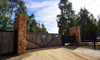 5000 m2 en condominio ALMAR