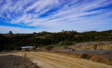 5000 m2 en condominio ALMAR