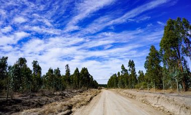 5000 m2 en condominio ALMAR