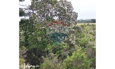 VENTA DE LINDO CAMPO EN ILQUE PUERTO MOTT