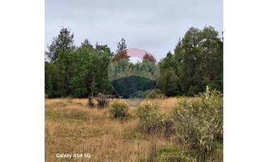 VENTA DE LINDO CAMPO EN ILQUE PUERTO MOTT