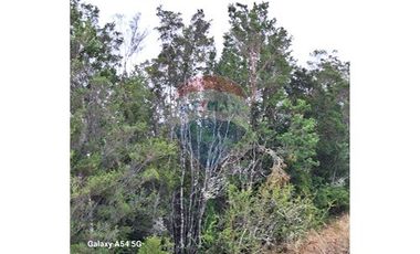 VENTA DE LINDO CAMPO EN ILQUE PUERTO MOTT