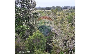 VENTA DE LINDO CAMPO EN ILQUE PUERTO MOTT