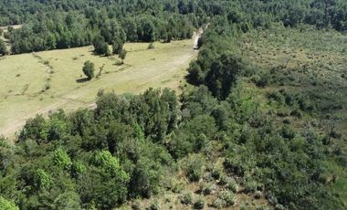 VENTA DE LINDO CAMPO EN ILQUE PUERTO MOTT