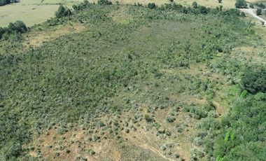 VENTA DE LINDO CAMPO EN ILQUE PUERTO MOTT