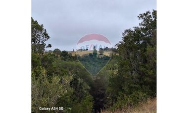 VENTA DE LINDO CAMPO EN ILQUE PUERTO MOTT