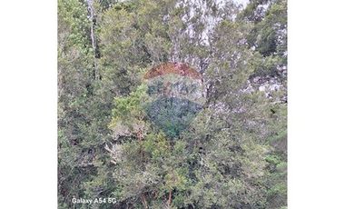 VENTA DE LINDO CAMPO EN ILQUE PUERTO MOTT