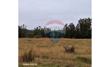 VENTA DE LINDO CAMPO EN ILQUE PUERTO MOTT