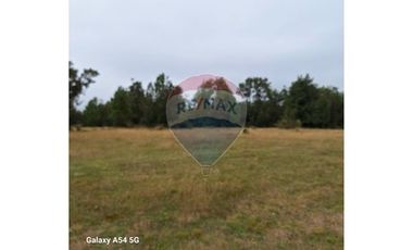 VENTA DE LINDO CAMPO EN ILQUE PUERTO MOTT