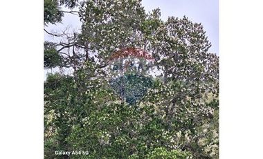 VENTA DE LINDO CAMPO EN ILQUE PUERTO MOTT