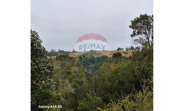 VENTA DE LINDO CAMPO EN ILQUE PUERTO MOTT
