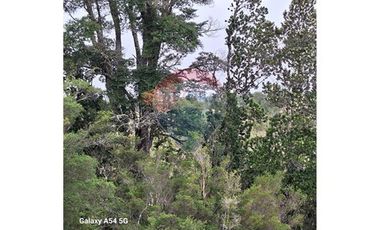 VENTA DE LINDO CAMPO EN ILQUE PUERTO MOTT