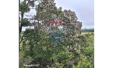 VENTA DE LINDO CAMPO EN ILQUE PUERTO MOTT