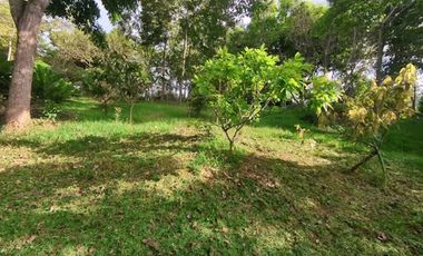 VENTA de LOTES en FLORIDABLANCA