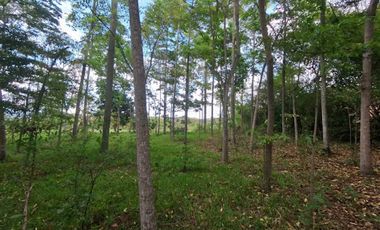 VENTA de LOTES en FLORIDABLANCA