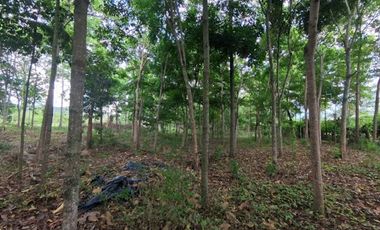 VENTA de LOTES en FLORIDABLANCA