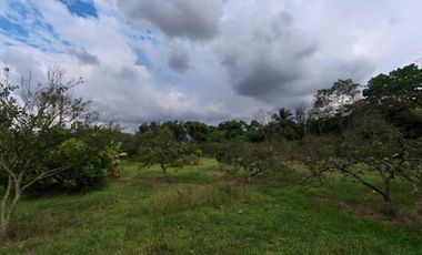 VENTA de LOTES en FLORIDABLANCA
