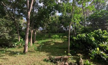 VENTA de LOTES en FLORIDABLANCA